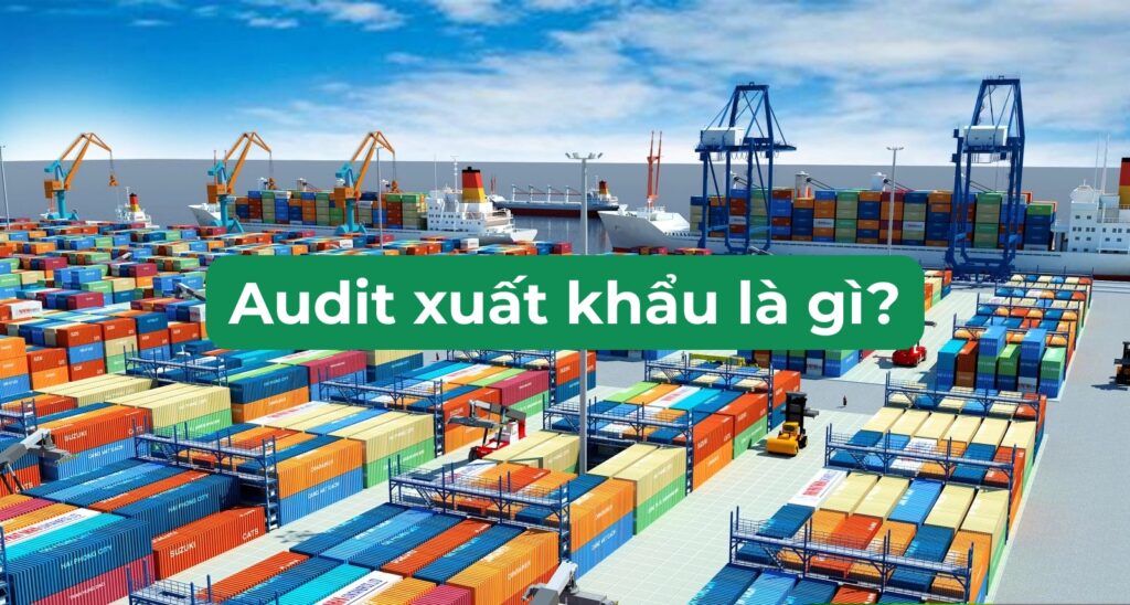 audit xuất khẩu là gì