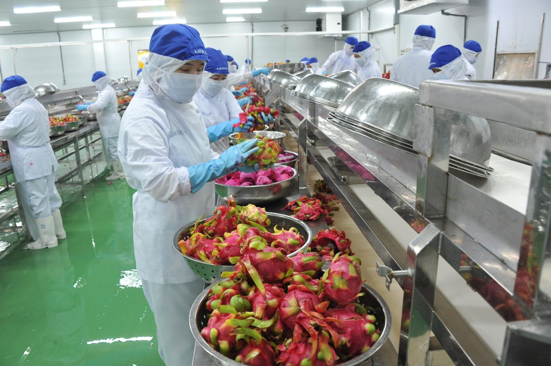 xuất khẩu nông sản thủ tục cần gì