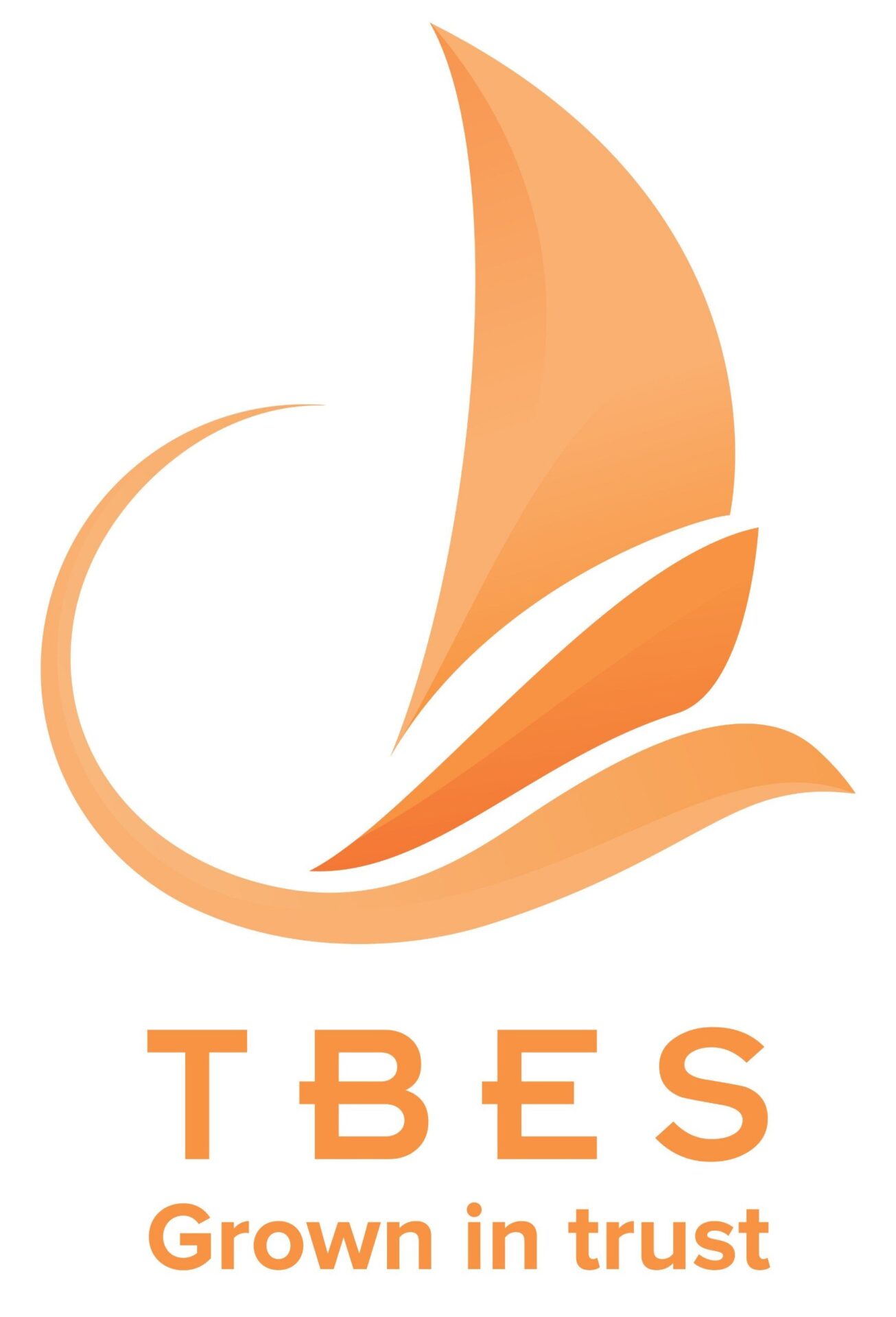 Tbes Company Limited