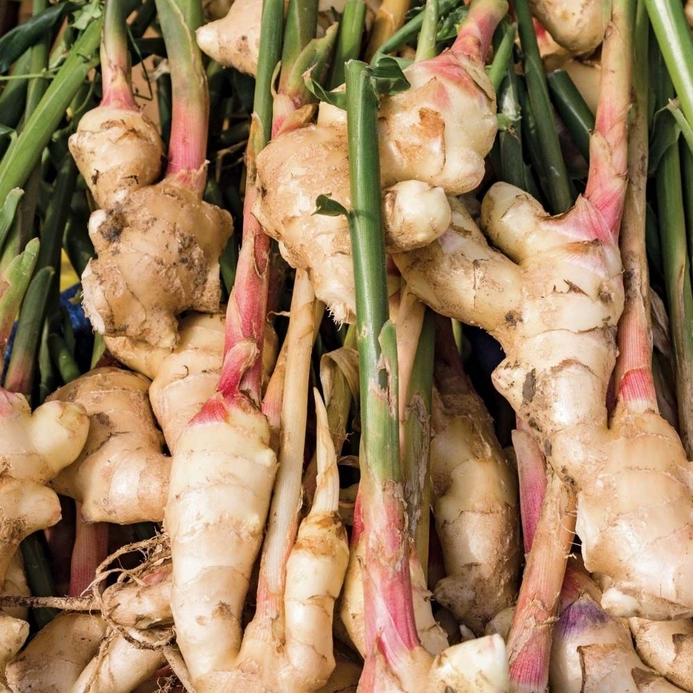 Fresh Roots & Tubers