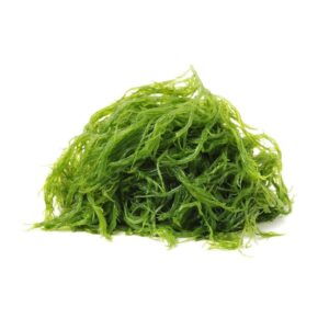 Seaweed