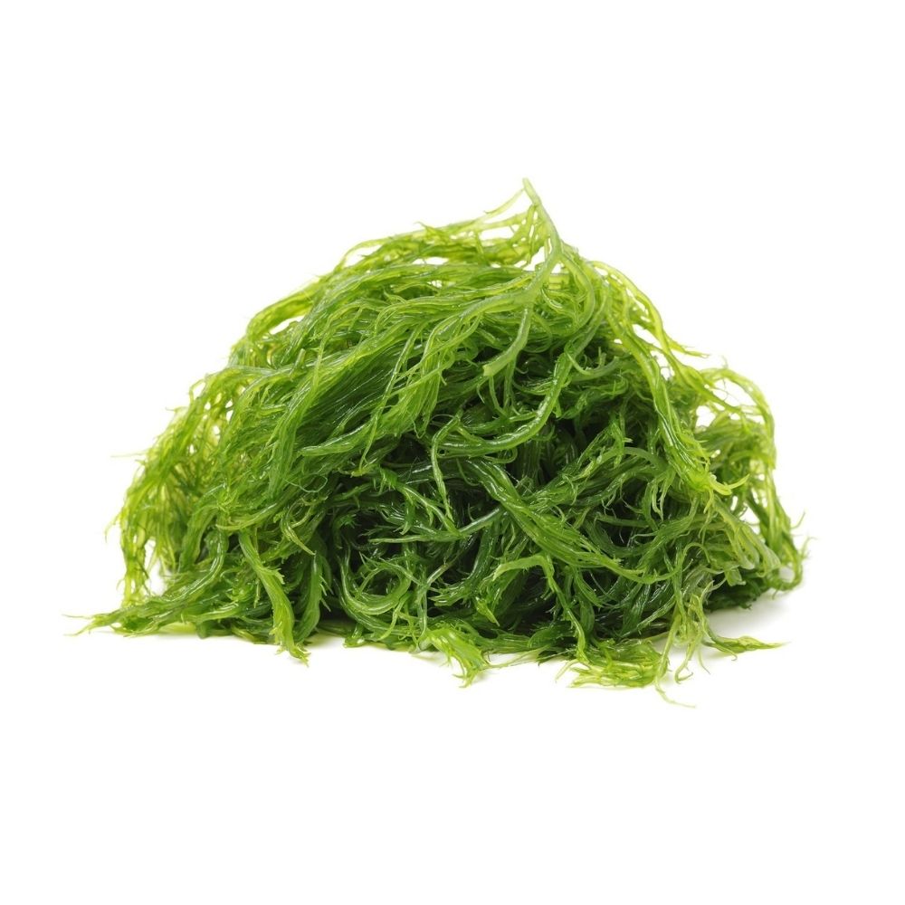 Seaweed