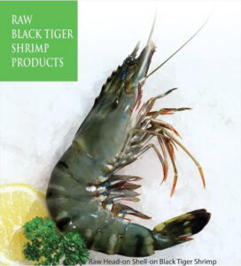 HOSO Black Tiger Shrimp