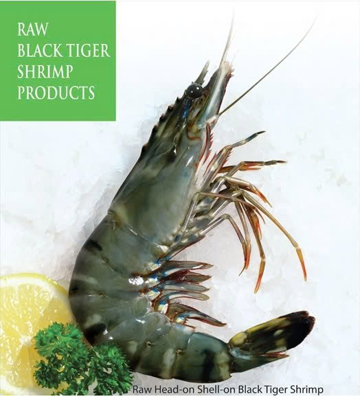 HOSO Black Tiger Shrimp
