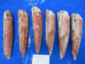 Frozen whole round squid (Sea Frozen/ Land Frozen)