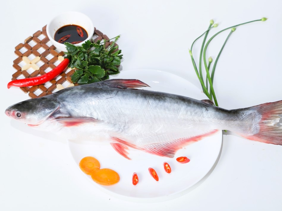 FROZEN PANGASIUS WHOLE CLEANED