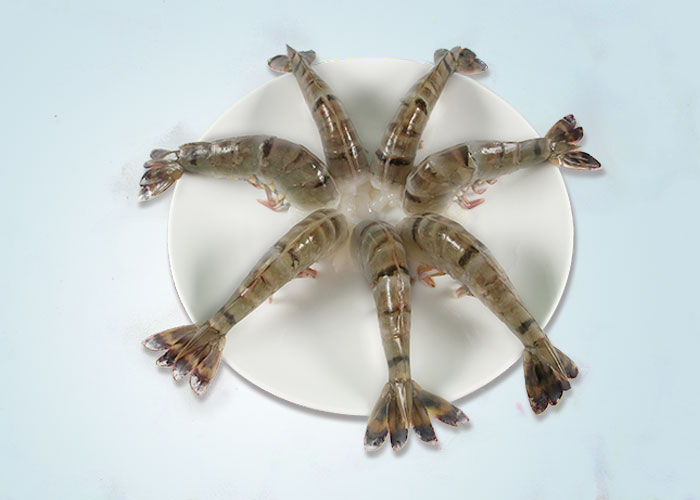 Raw HLSO Easy Peeled Black Tiger Shrimp