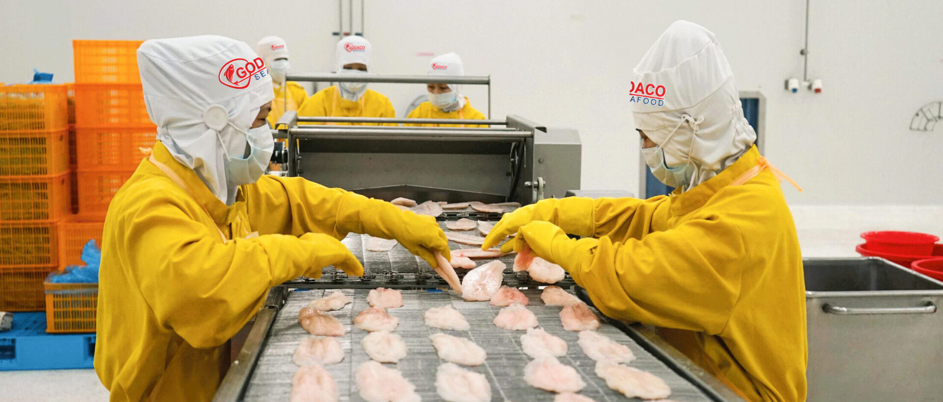 PANGASIUS FILLET WELL-TRIMMED