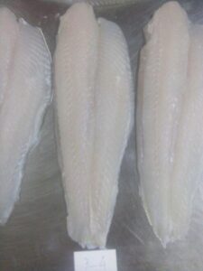 Well-trimmed Pangasius