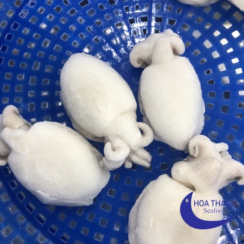 FROZEN BABY CUTTLEFISH IQF