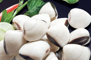 Frozen Whole White Clams
