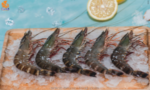 Black Tiger Shrimp (HOSO)