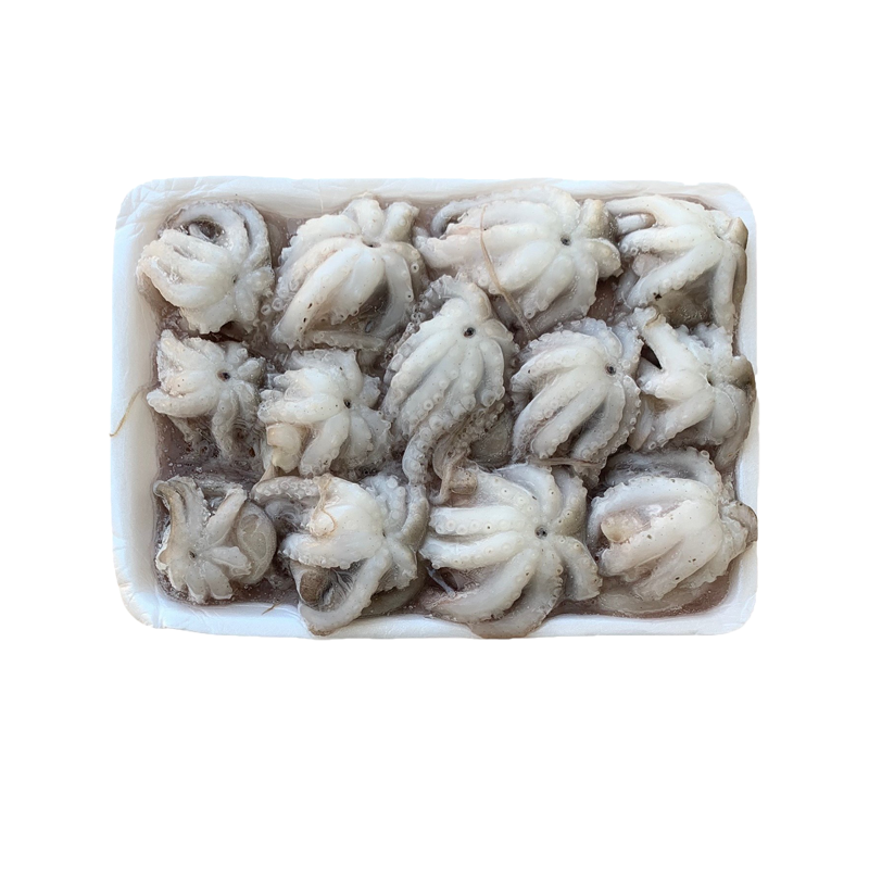 CLEANED BABY OCTOPUS