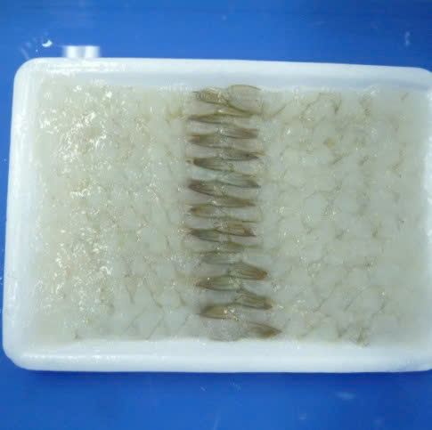 FROZEN BLACK TIGER SHRIMP