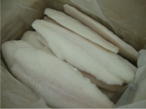 Frozen Pangasius Fillet