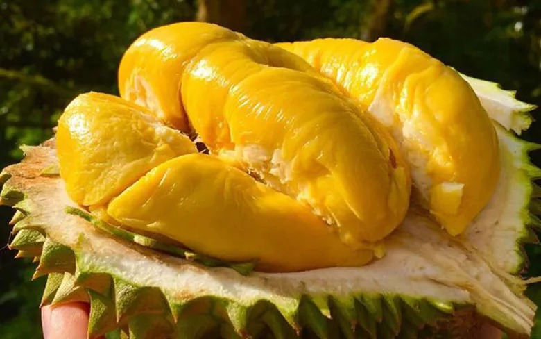 Durian fruit